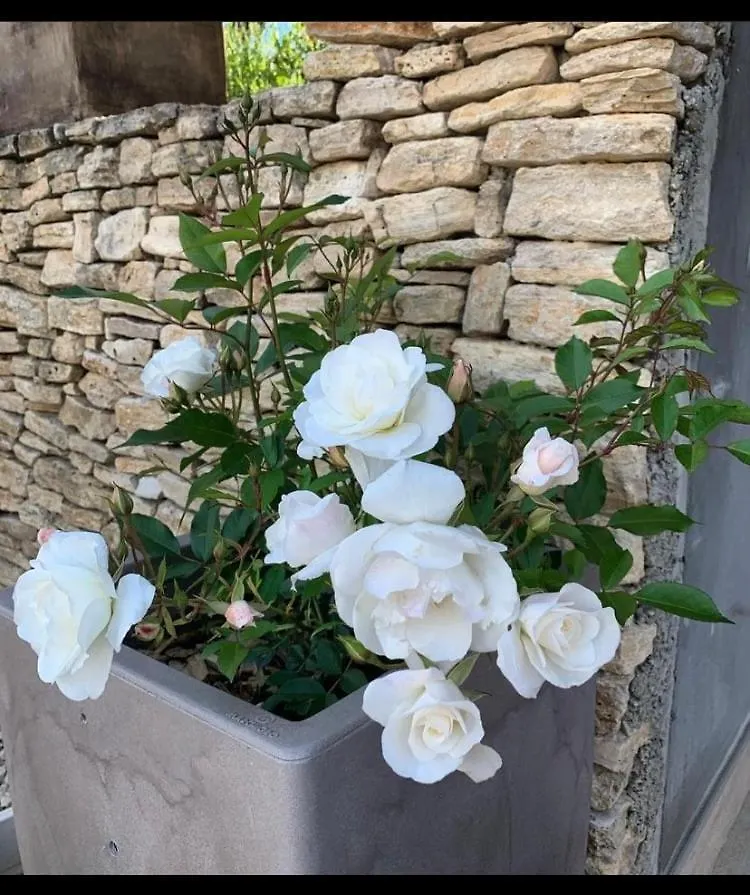 Villa Olivera Saint-Sernin  France